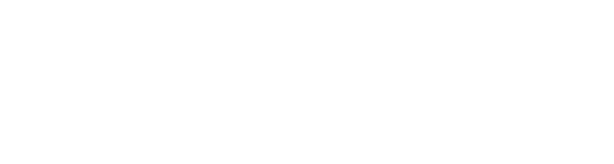 FROY product image