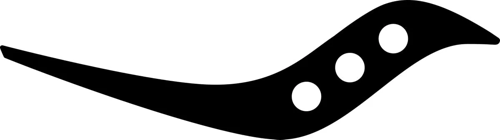 Saucony product image
